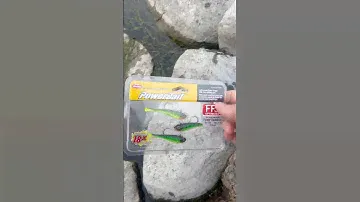 Powerbait #powerswitch #walleye #jigging