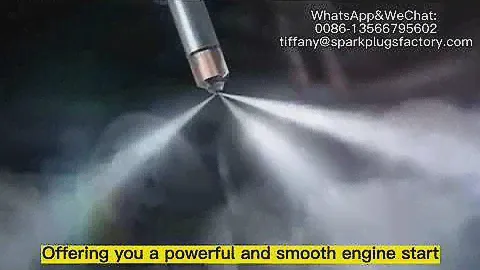 Double Iridium Spark Plugs