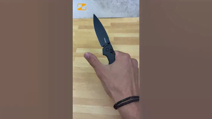 Kershaw Black Iridium