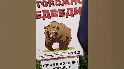 Внешний пилот - работа мечты! :)