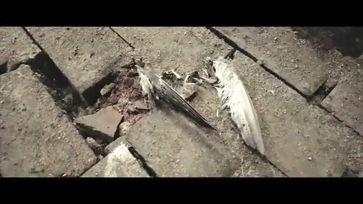 IRIDIUM - Proyecto 12 [Official Video]