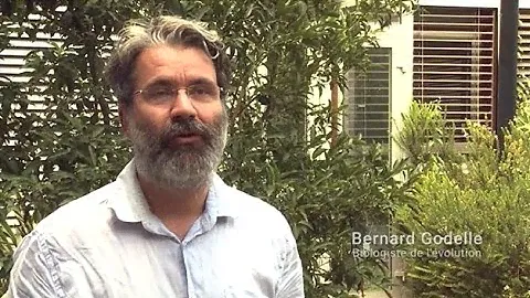 Mon atome préféré : l'iridium - Bernard Godelle
